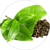 チャエキス（１）