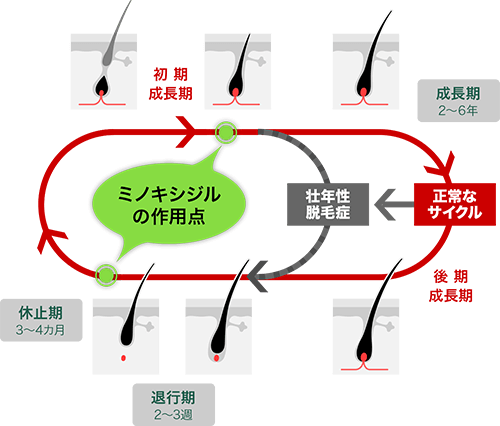 FCIリキッド